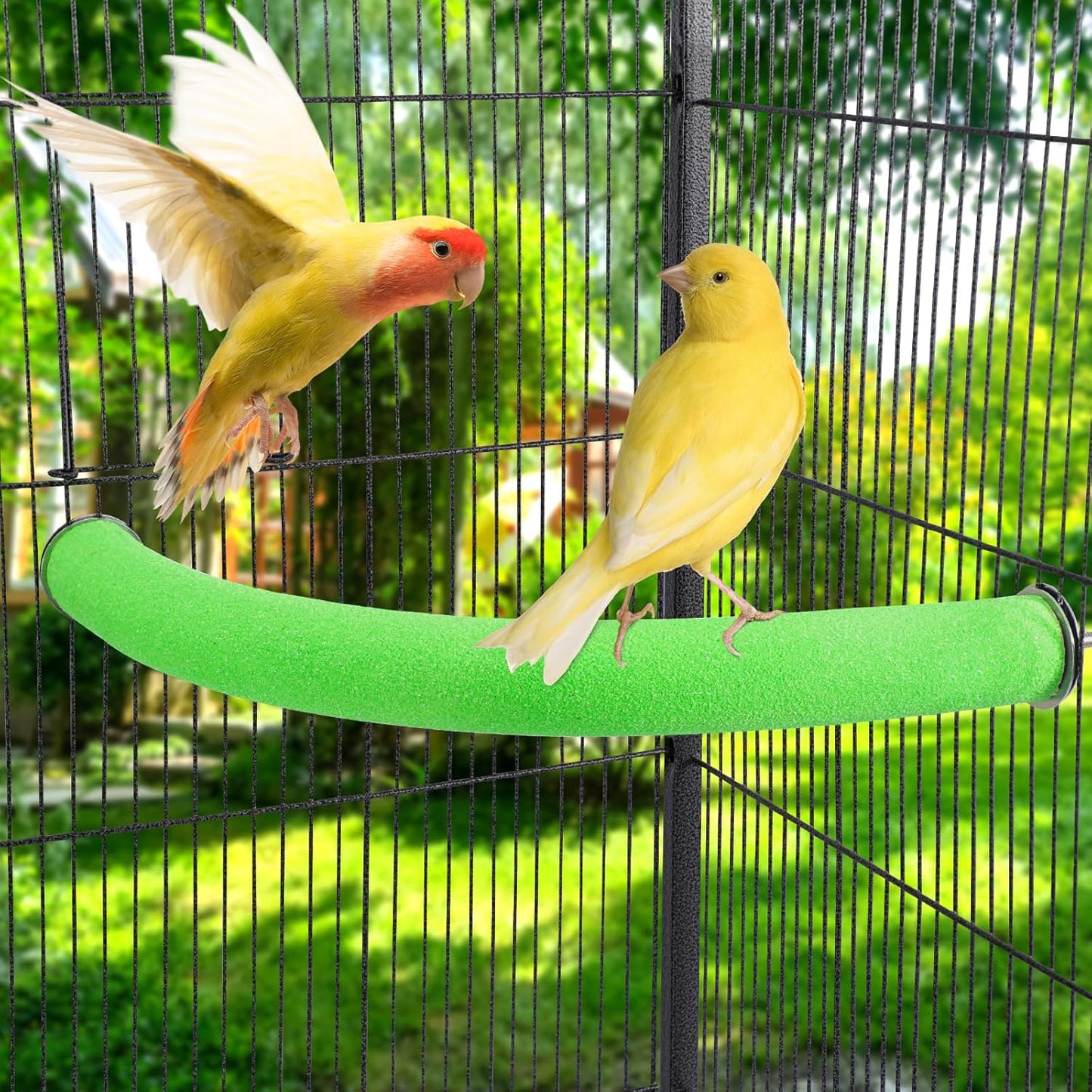 U Shape Parrot Perch Stand Toy Bird Platform Sand Paw Grinding Clean Stick Exercise Conure Budgie Cockatiel Cage Accessories (Green-Corner)
