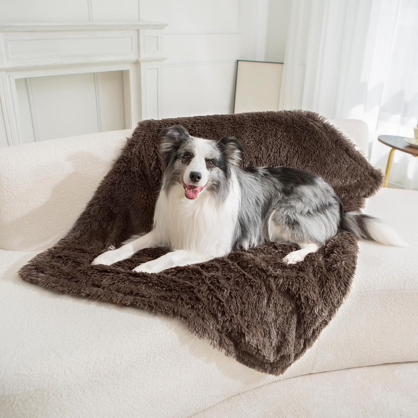 gogobunny Waterproof Dog Blanket for Large Dogs, Cats, Puppy, Reversible Faux Fur Pet Throw Blanket, Washable, Calming Furniture Protection for Sofa Bed (40x50 Inch (Pack of 1), Chocolate)