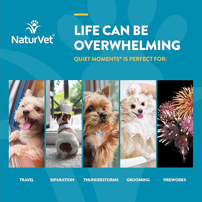 NaturVet Quiet Moments Calming Dog Supplement, Dog Soft Chews with Melatonin to Help Reduce Stress from Storms, the Vet, Fireworks, and Travel, Bacon and Chicken Flavored Pet Supplement, 180 Count Jar