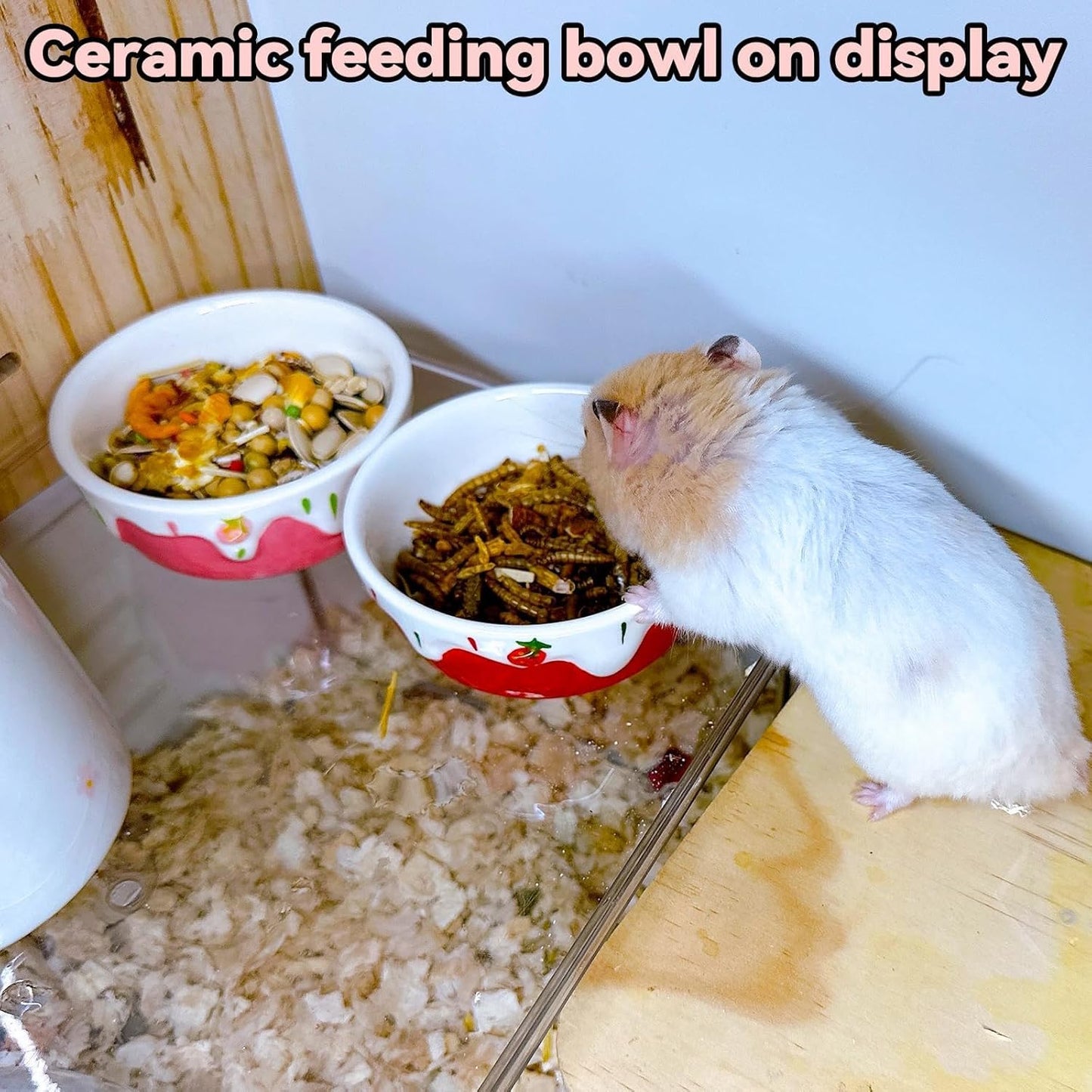 2 Pack Hamster Food Bowl Small Animals Ceramic Food Water Bowl Prevent Tipping Moving for Gerbil Chinchilla Hedgehog Rat (Color: Pink + Red)