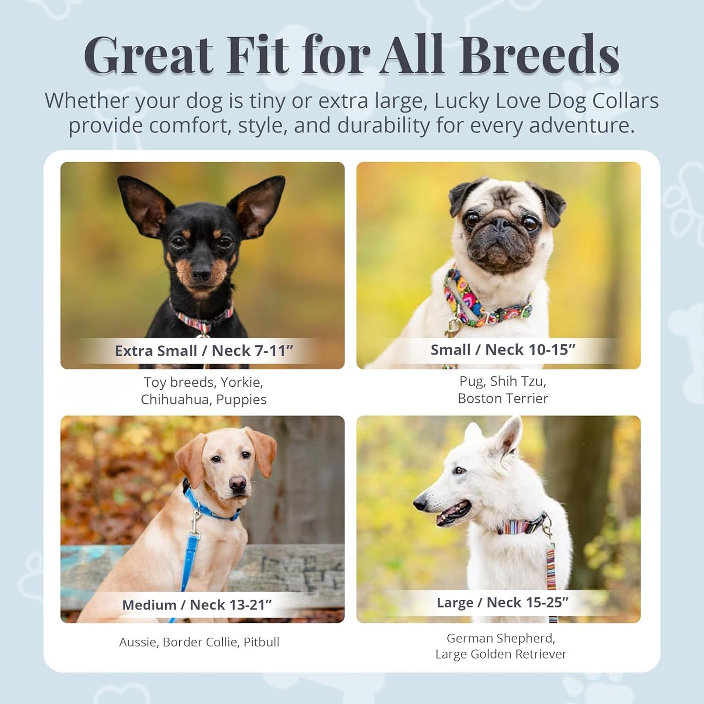 Lucky Love Dog Collar and Leash Set, Beautiful & Vivid Patterns, Easy On & Off Clasp Accessory (Blue Laguna, L Combo)