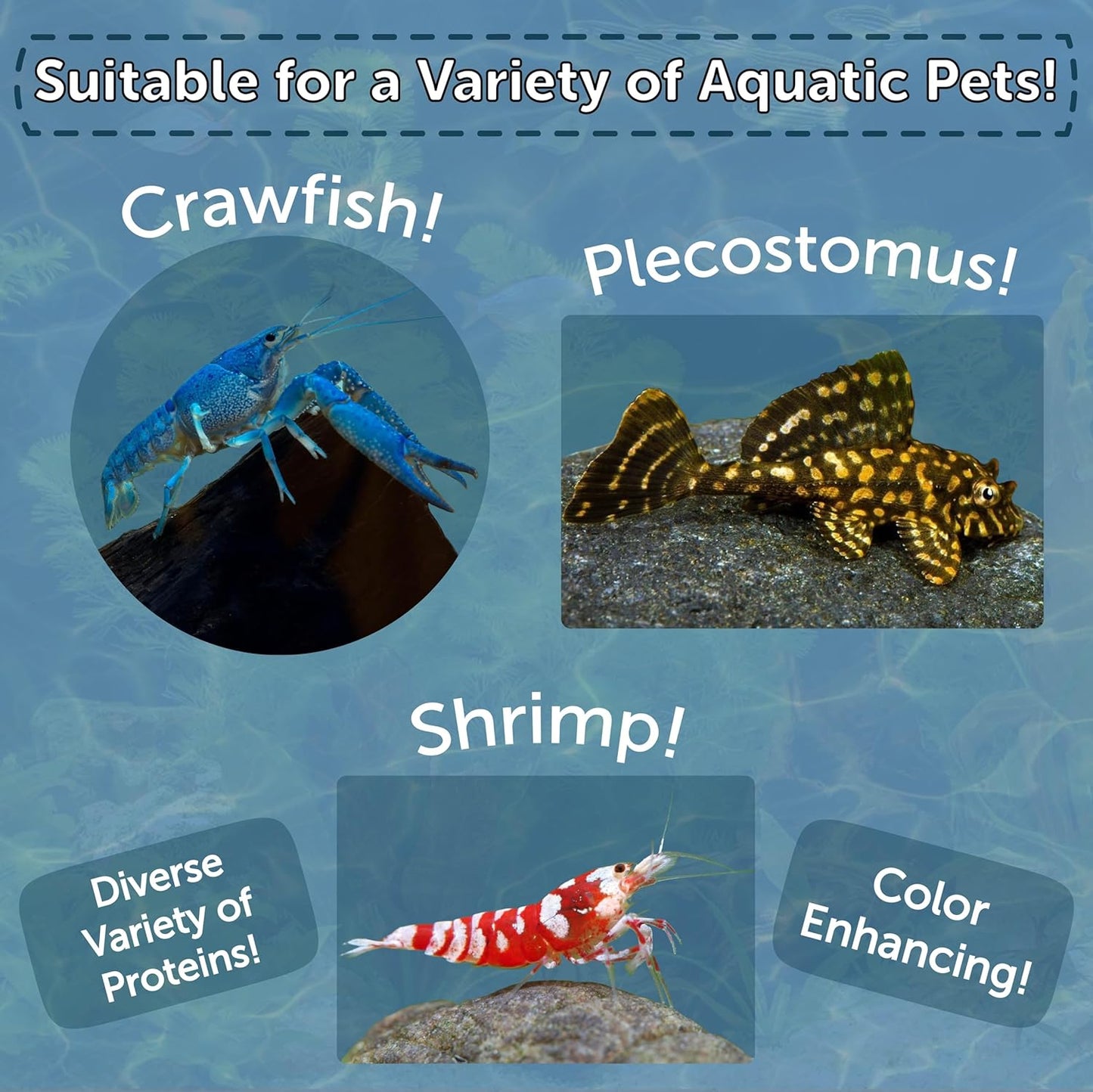 Aquatic Foods Inc. 4-Type 3.5mm - 1/8" Sinking Wafer Mix of Spirulina-Algae, Ultra-Worm, Ultra-Shrimp, Color Enhancing Wafers for Shrimp, Snails, Crabs, Crayfish, All Tropical Fish, 3.5mm..5oz