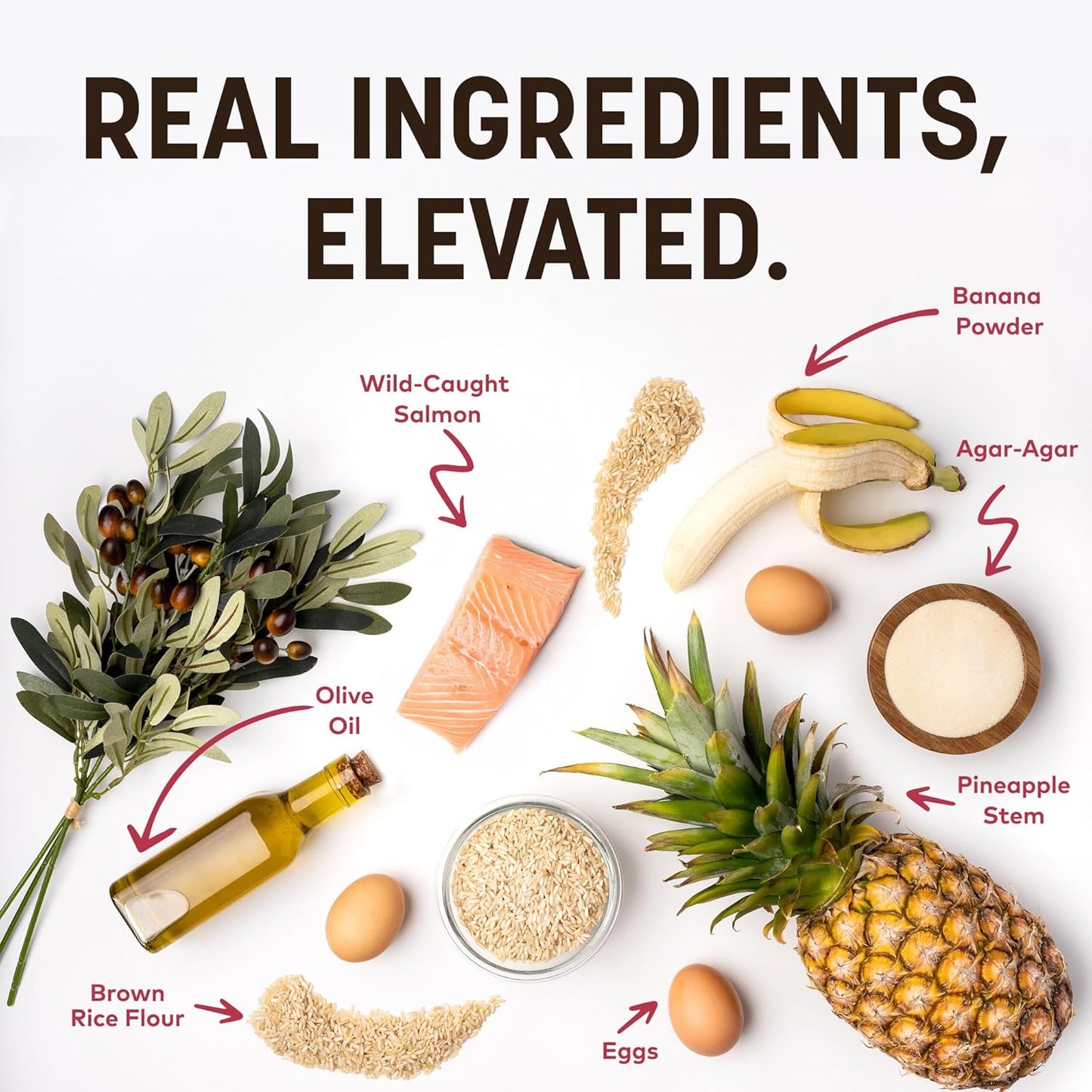 Earth Animal No-Hide Stix Salmon Recipe Natural Rawhide Alternative Dog & Cat Chews - 40 Count Extra Value Pack