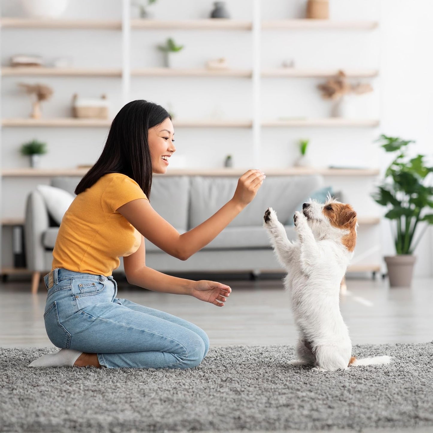 Exclusively Dog Chewy Training Treats Bacon Apple Flavor Grain Free Gluten Free, Made in The USA, 6 oz.