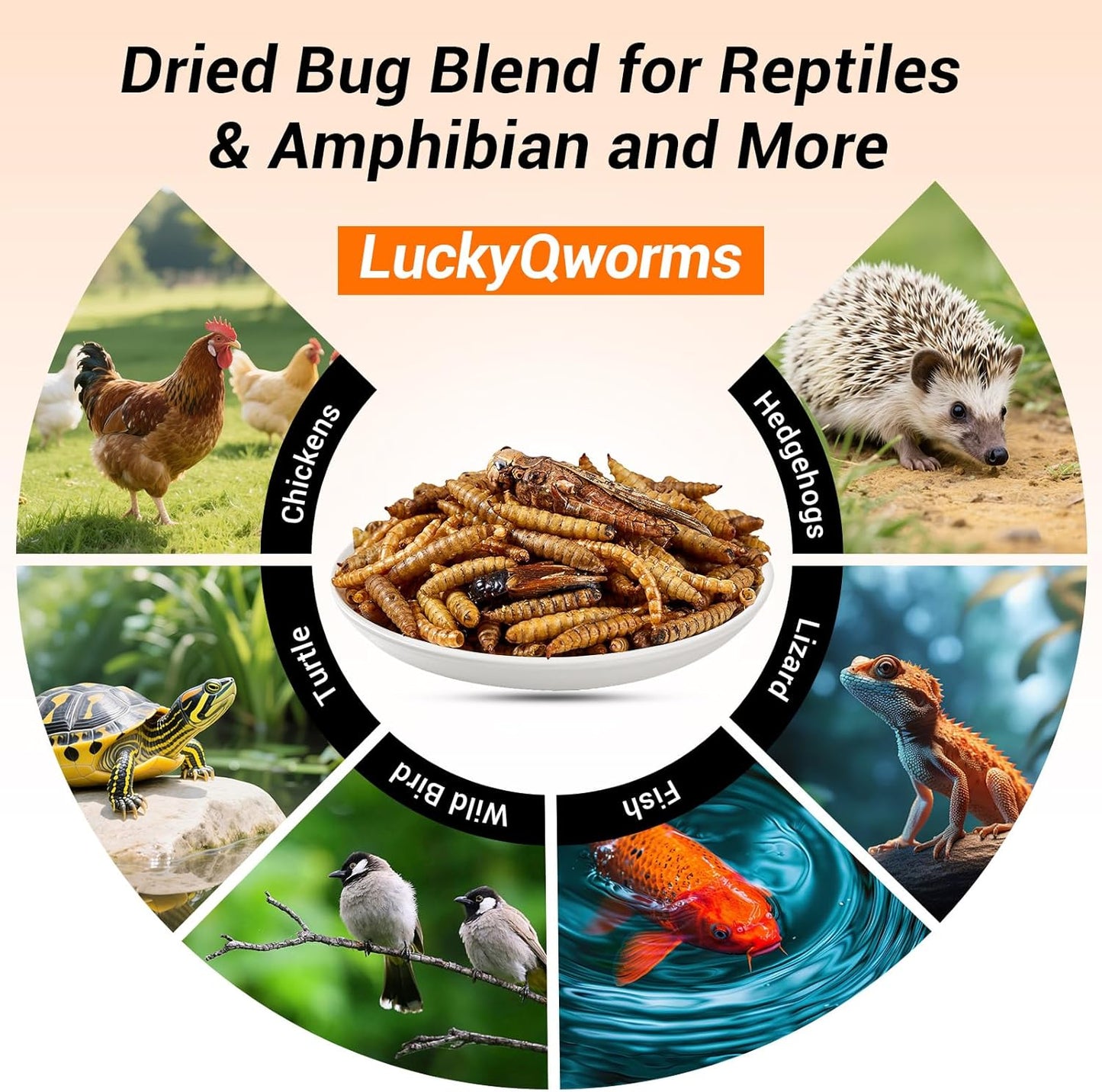 Dried Insect Trail Mix for Chickens - High Protein 42% & Calcium 1.1% for Egg Laying - Natural Treat for Birds, Reptiles, Ducks, Hedgehogs - 1 Lbs Resealable Bag