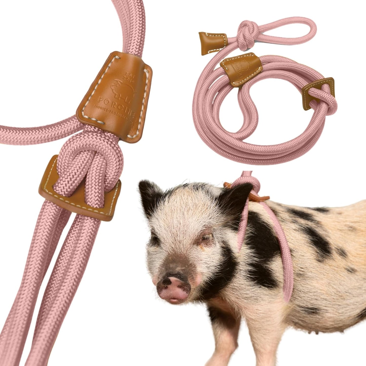 Mini Pig Harness & Leash (S/M) - Fully Adjustable, Infinity Style Lead, Step-in Harness, Potbelly Supplies, All-in-One - Ideal for Small & Medium Pet Pigs (Small, Mauve Pink)
