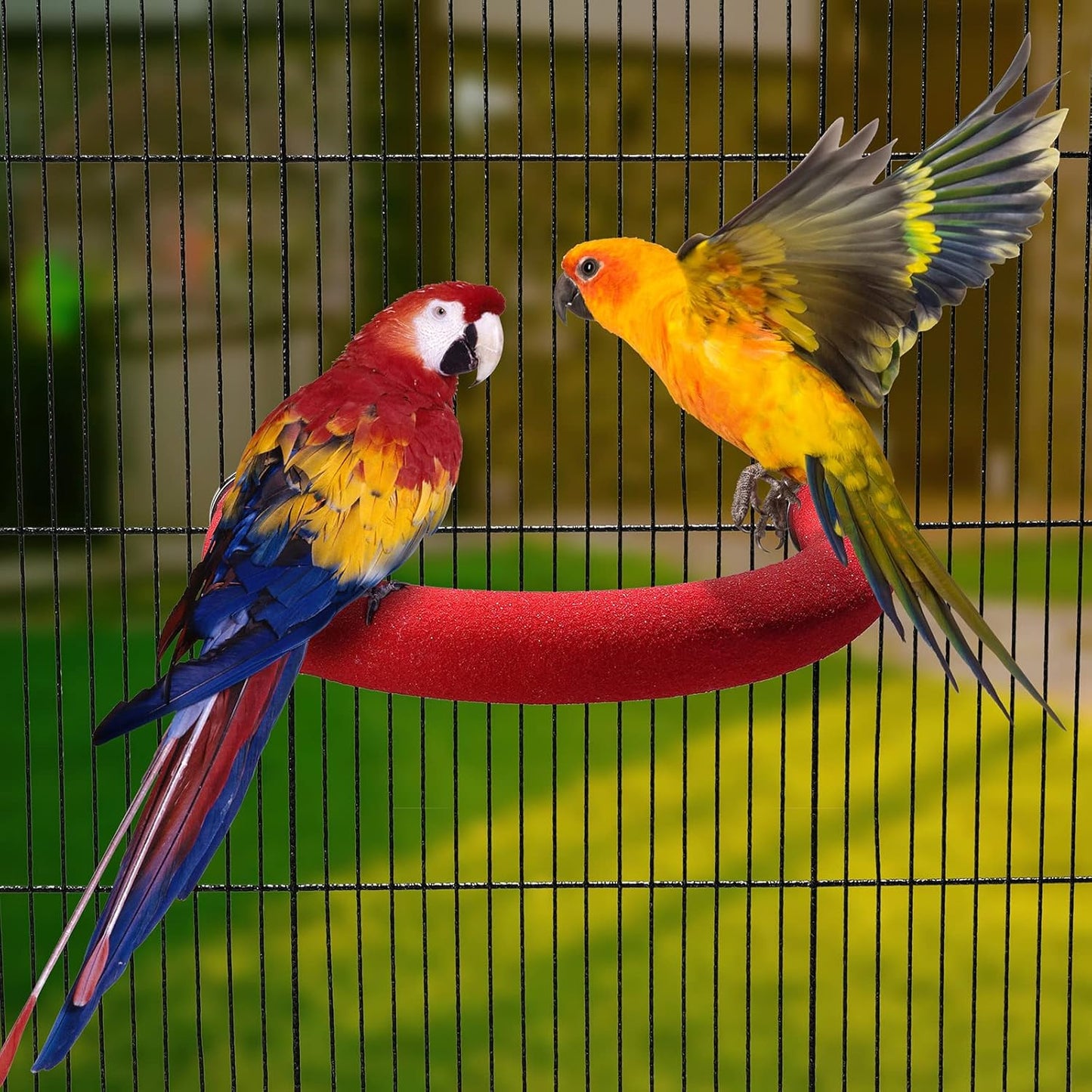 U Shape Parrot Perch Stand Toy Bird Platform Sand Paw Grinding Clean Stick Exercise Conure Budgie Cockatiel Cage Accessories (Red)