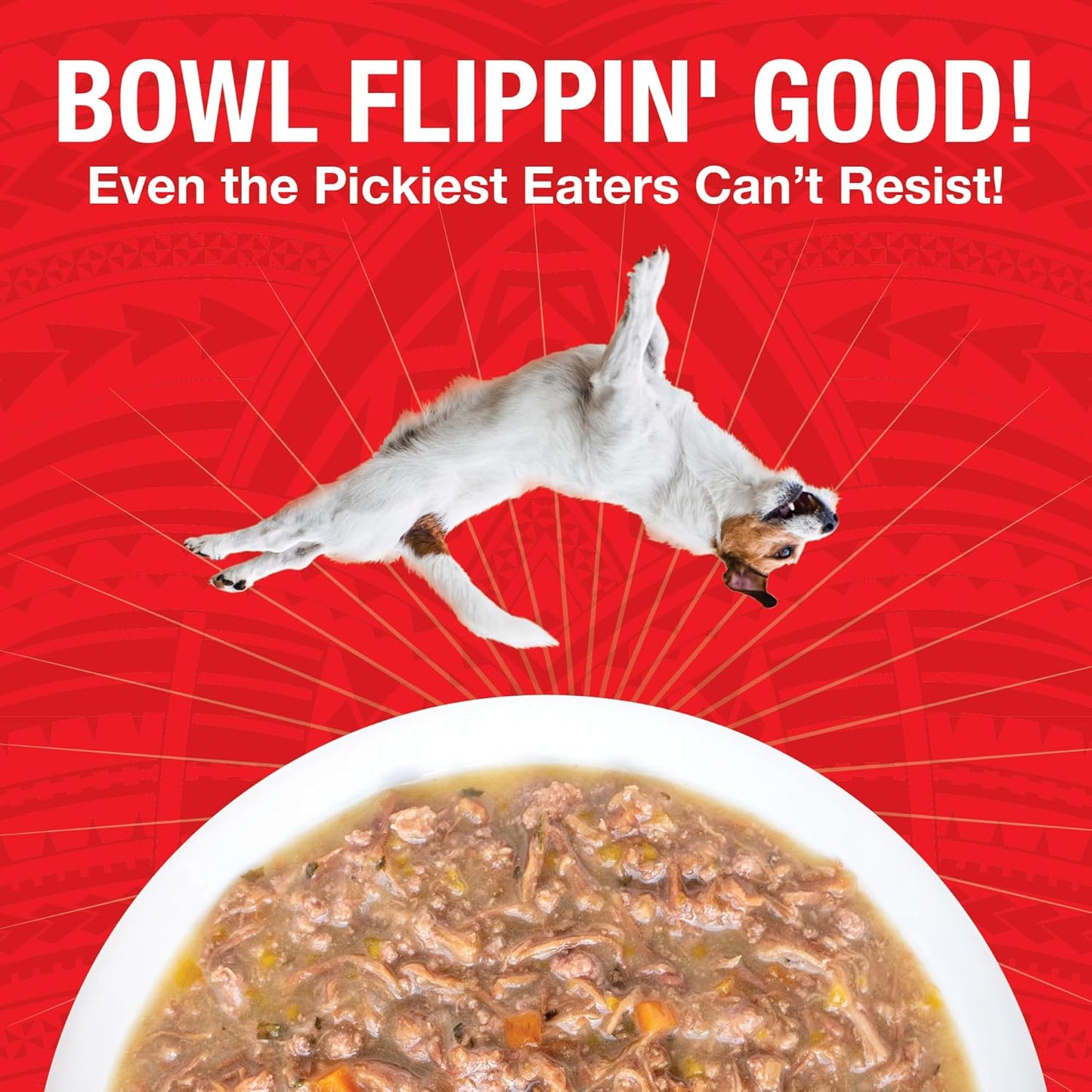 KOHA Pure Shreds Beef Entrée for Dogs, 12.5oz Cans (Pack of 12)