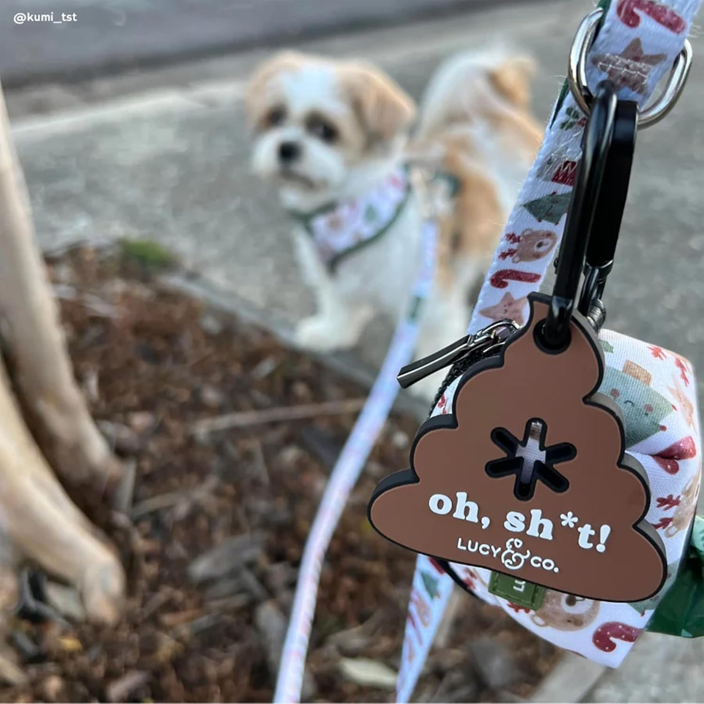 Lucy & Co Poop Clip for Pups – Hands-Free Dog Waste Bag Holder – Silicone Doggy Leash Accessories, Pooper Scooper Essentials for Walking in the City, Hiking at the Park & More