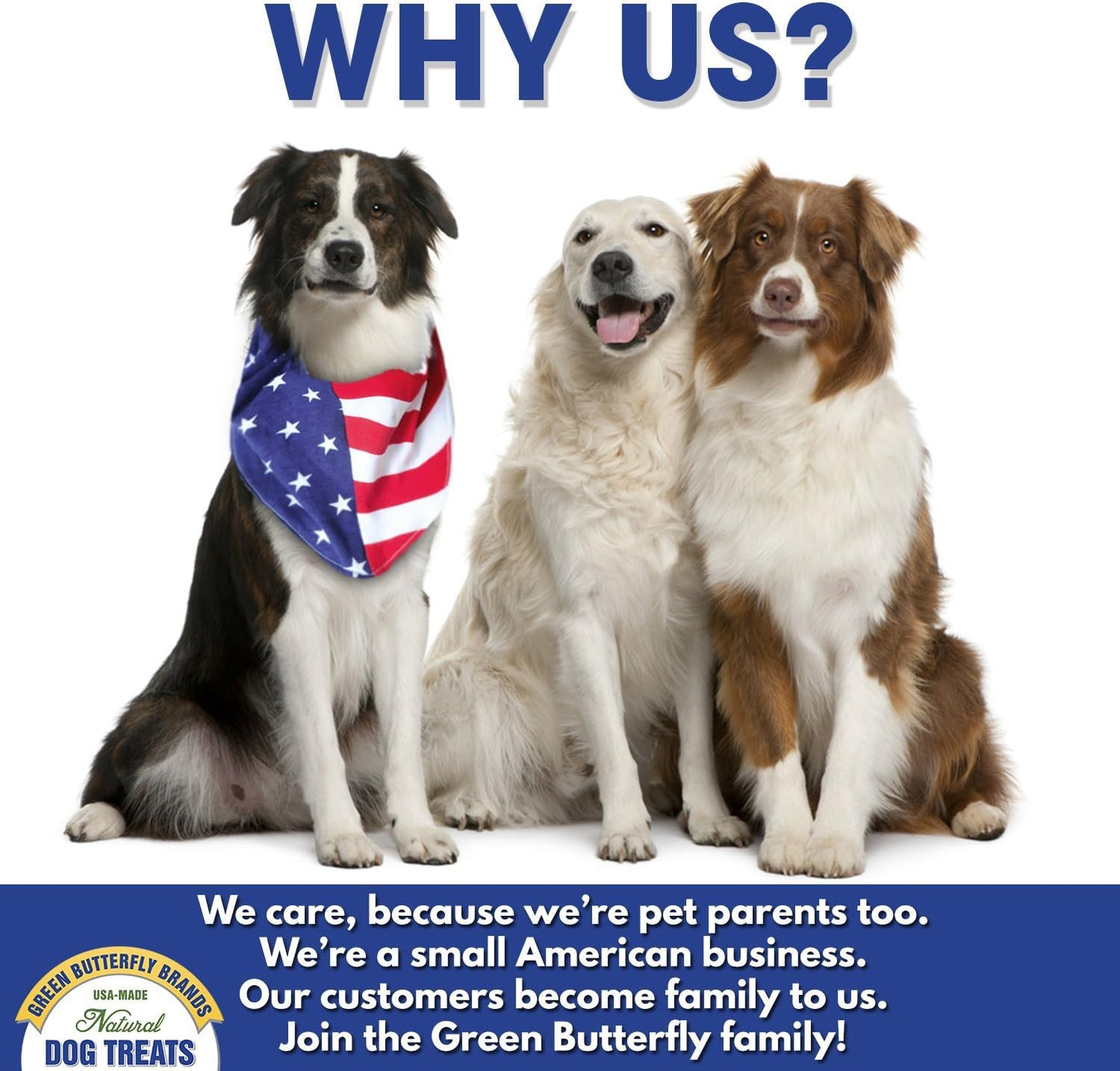 Chicken Jerky - Dog Treats Made in USA Only - 1 Ingredient: USDA Grade A Chicken Breast - No Additives or Preservatives - Grain Free Snack, All Natural Premium Strips, 8 Ounces