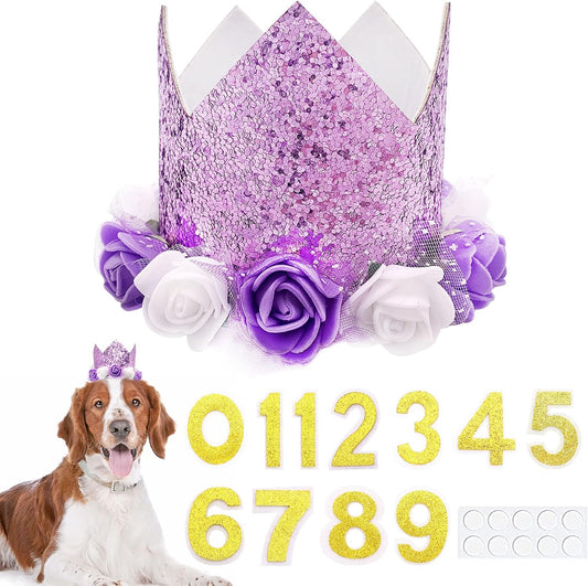 PET SHOW Purple Crown Dog Birthday Party Hat for Girls Reusable Party Supplies Cat Kitten Headband with 0-9 Figures Charms Costume Accessories with Glue