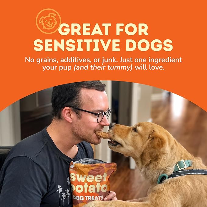 Davie's Sweet Potato Dog Treats - Healthy, Natural, Low Fat Chews Made in USA - 1 lb Bag, Pack of 2