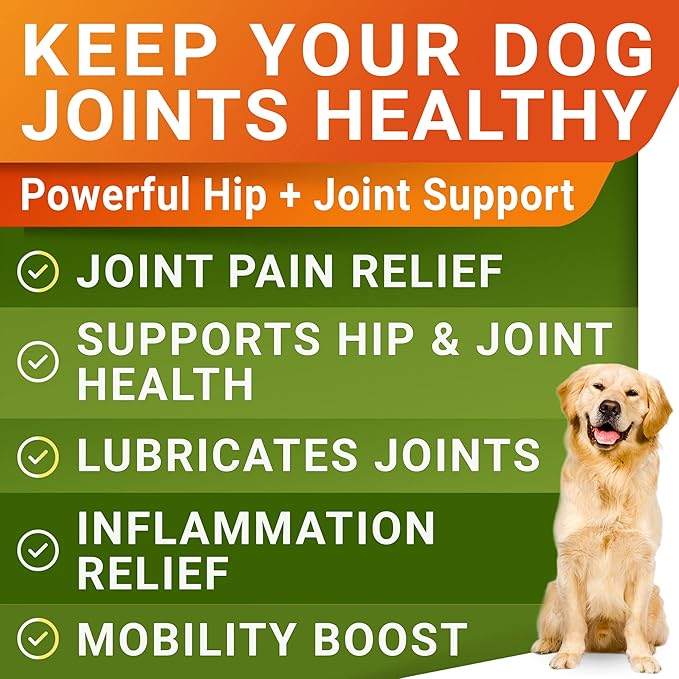 Glucosamine Treats for Dogs - Joint Supplement w/Omega-3 Fish Oil - Chondroitin, MSM - Advanced Mobility Chews - Joint Pain Relief - Hip & Joint Care - Peanut Butter Flavor - 240 Ct