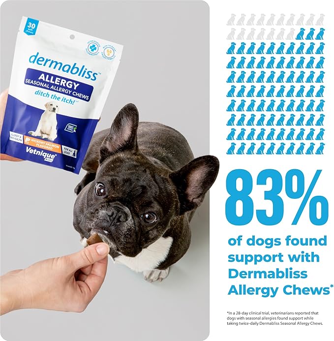 Vetnique Labs Dermabliss Dog Allergy Relief & Immune Support Supplement Allergy Chews for Dogs Itching and Licking with Omega 3 Fish Oil & Probiotics for Itch Relief - Vet Recommended (120 Ct Chews)