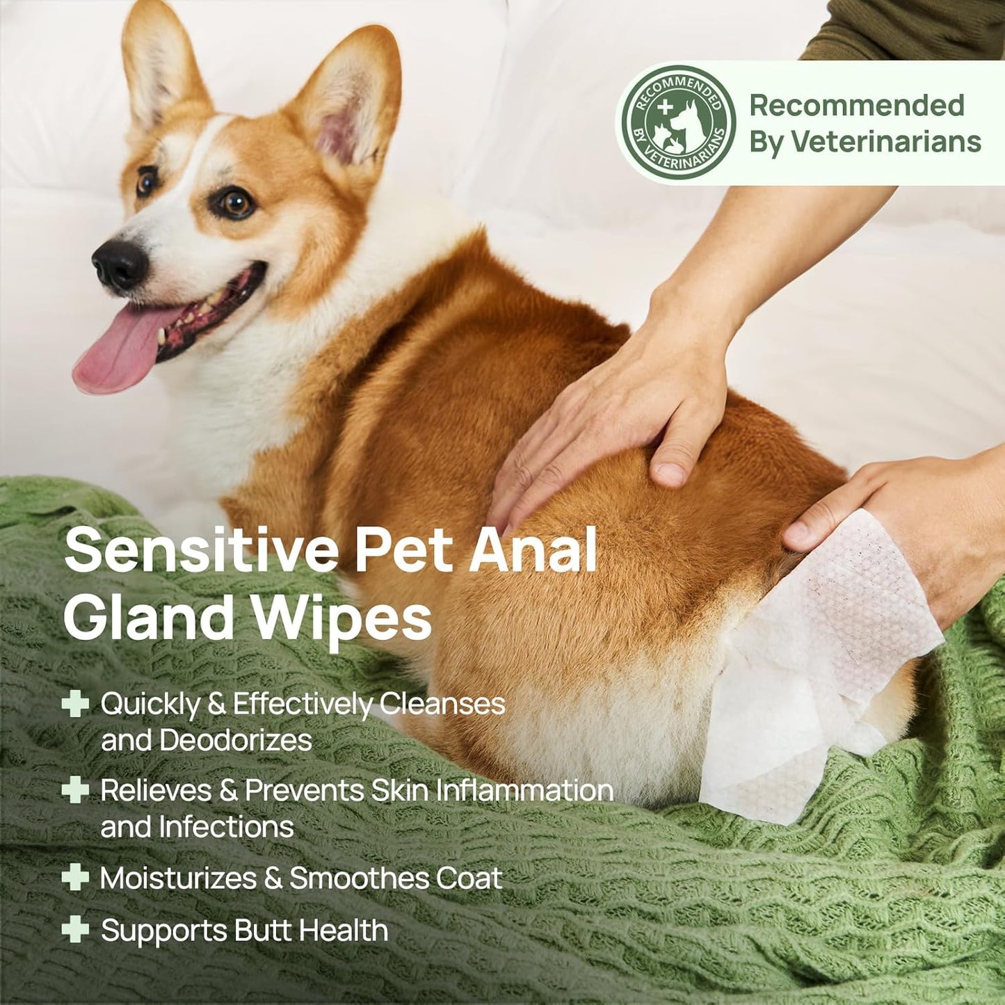HICC PET Wipes for Dogs & Cats, Vet Recommended Cleansing Deodorizing & Soothing Allergy Infections Anal Gland Pets Wipes with Coconut Oil, Hypoallergenic Dog Grooming Wipe for Butt Paw Stain Remover