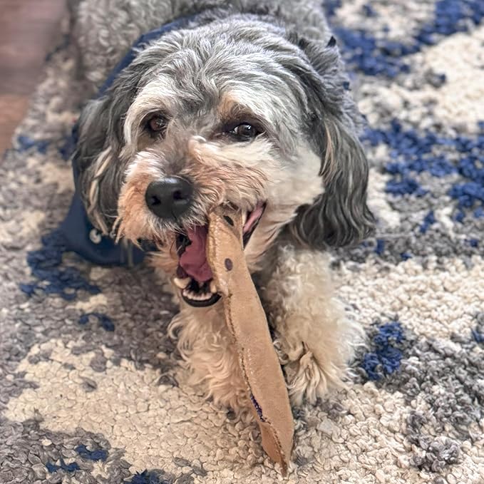 SPOT Dura-Fused Leather Squirrel Dog Toy – Real Leather & Jute Fabric, Double-Stitched & Durable, Soft Stuffed Squeaky Interactive Chew Toy for Moderate Chewers, Small & Medium Dogs, 8in