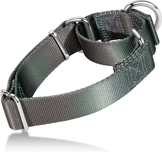 Martingale Dog Collar Colorful Gradient Fashionable - Anti-Escape Soft Durable Pets Collar for Walking Training Outdoor Daily Use -Medium, Dark Grey
