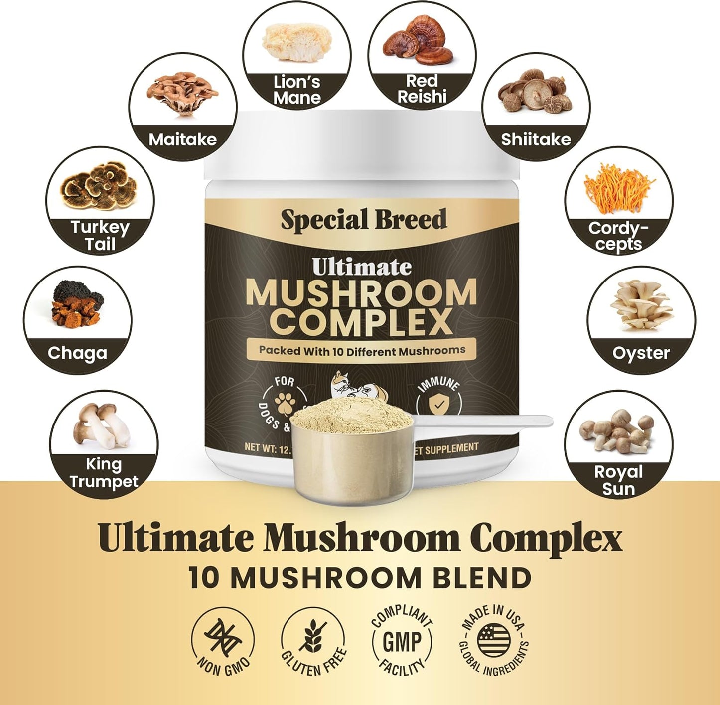 Mushroom Powder for Dogs & Cats - Organic Mushroom Complex for Immunity Support, Immune Function, Cognition, Vitality - Ten Mushroom Supplement with Turkey Tail, Lion's Mane, Reishi - 720 Scoops