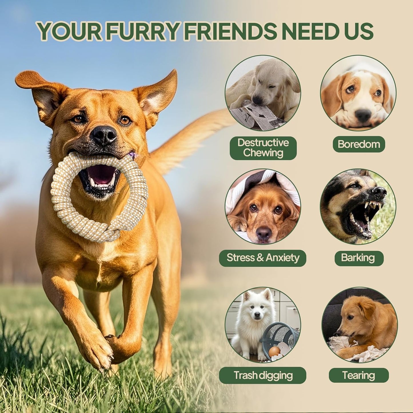 Dog Rope Toy 4 Pack - Dog Rope Toys for Large Dogs - Indestructible Natural Cotton Chew Toys for Aggressive Chewers - Tough Tug of War Dog Toys for Boredom, Teeth Clean