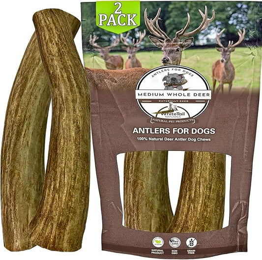 WhiteTail Naturals - Deer Antlers for Dogs - (Medium Whole- 2 Pack) - All Natural Antler Dog Chew - Naturally Shed, Long Lasting Chew Bone, Crafted in Texas