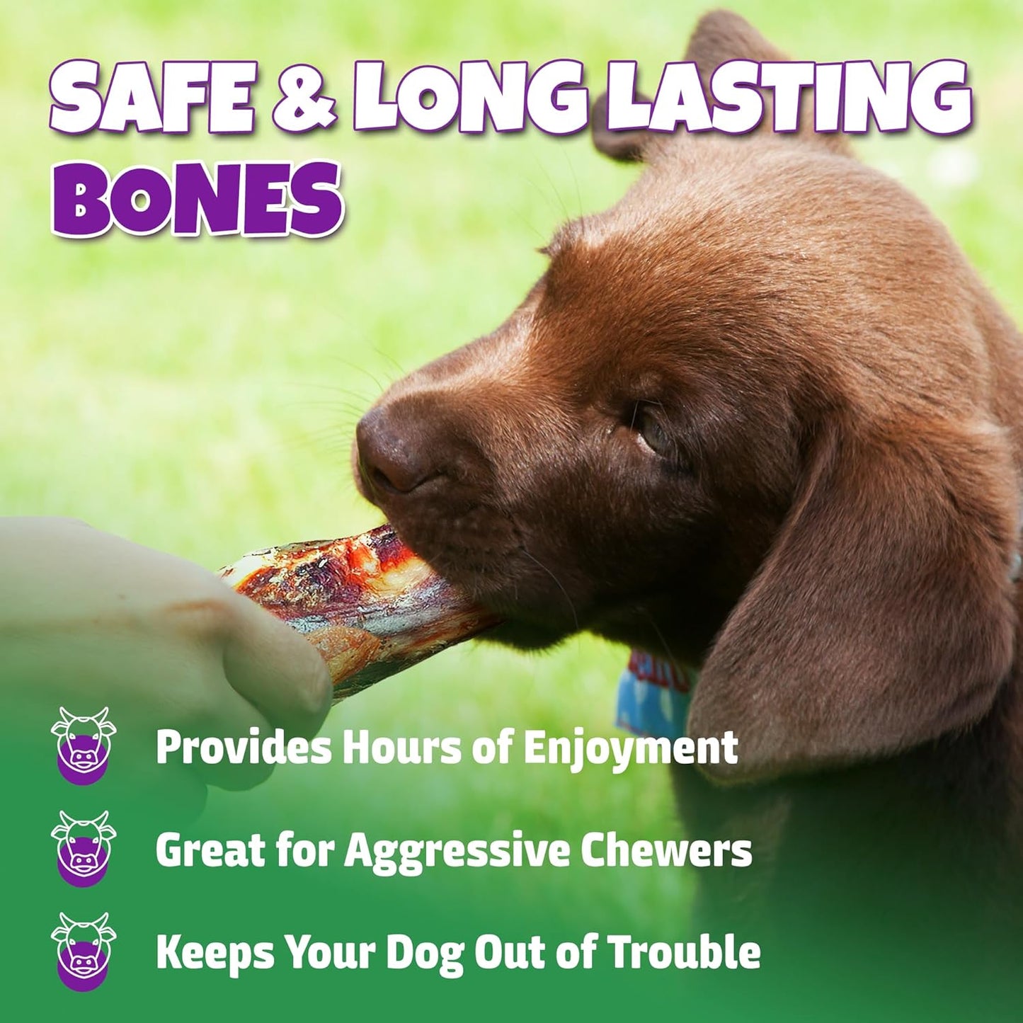 Marrow Bones for Dogs Large, Medium, & Small, All-Natural, USA Made, Healthy Bone Marrow Dog Treats, Filled Beef Bones That Support Dental Health, 3-Inch, 6 Count