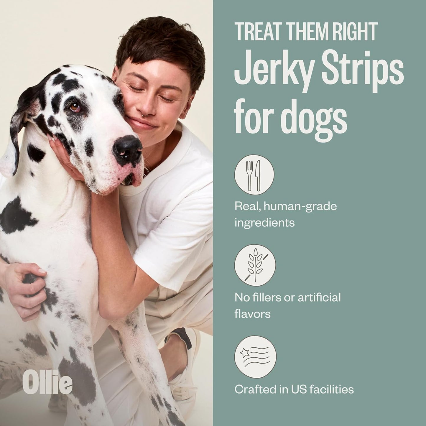 Ollie Chicken and Apple Jerky Dog Treats, 5 oz Pack of 3, All Natural, Healthy Snacks, Made with Real Meat, Human Grade, for Dogs