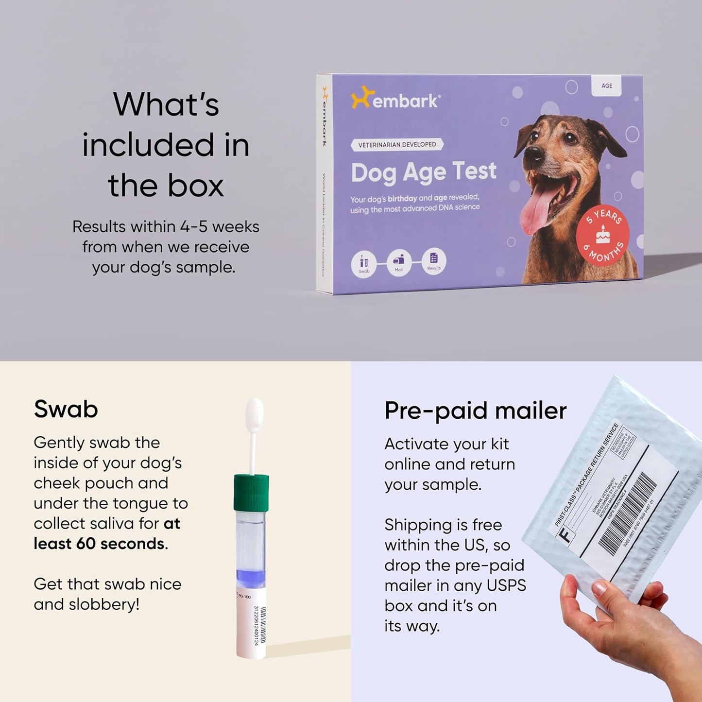 Embark Dog Age Test Kit - Estimates Age and Birthday - DNA Methylation - Best for Dogs Past Puppy Stage - Includes Life Stage Care Tips - Great for Rescue Dogs