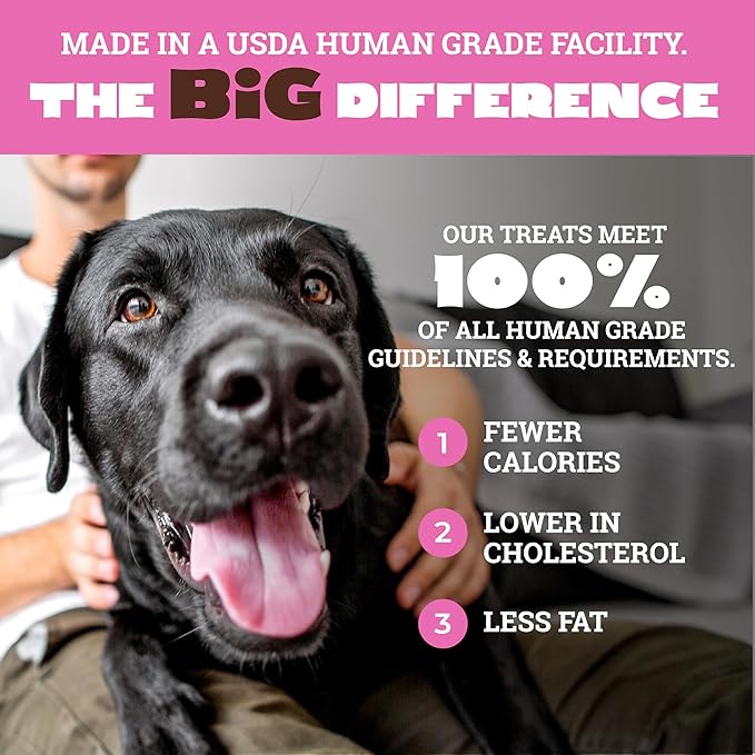 etta says! Big Yumm Sticks - Real Meat Pork Dog Jerky Treats - Human Grade - Made in The USA (24 Count Pack of 1)