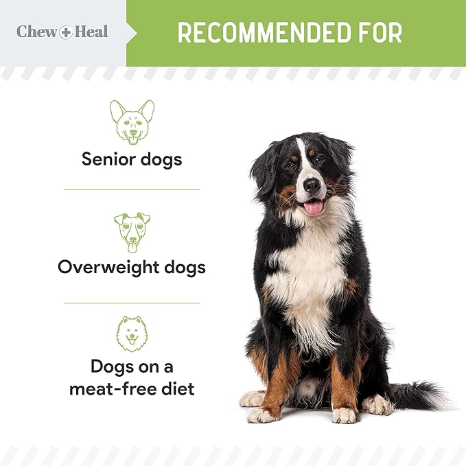 Chew + Heal Labs Low Calorie Dog Jerky Treats - 5 oz of Vegan Plant Based Natural Dog Treats with Chia Seeds, Fruits, and Vegetables - Good for Weight Management - Made in The USA