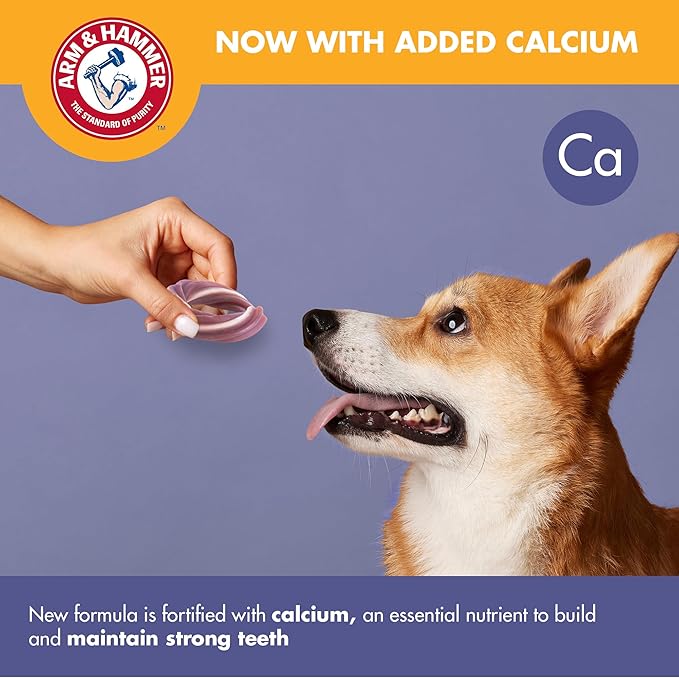 Arm & Hammer for Pets Smoothies Dental Treats for Dogs with Baking Soda and Calcium, Help Fight Bad Breath, Plaque & Tartar Without Brushing, Mint Strawberry, Ring Shaped, 5 Pcs (Packaging May Vary)