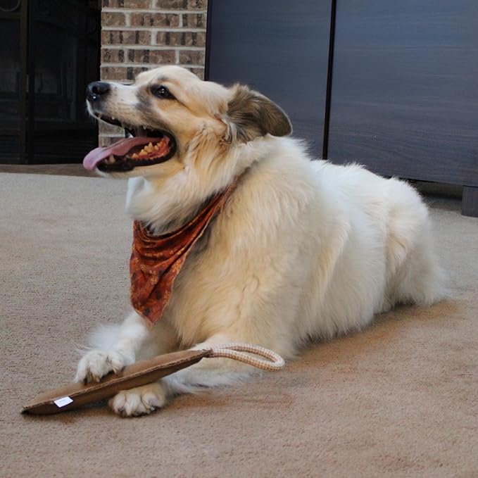 SPOT Dura-Fused Leather Retriever Dog Toy – Real Leather & Jute Fabric, Double-Stitched & Durable, Squeaky Interactive Tug Toy with Rope Handle for Moderate Chewers, Soft Stuffed Fetch Toy, 15in