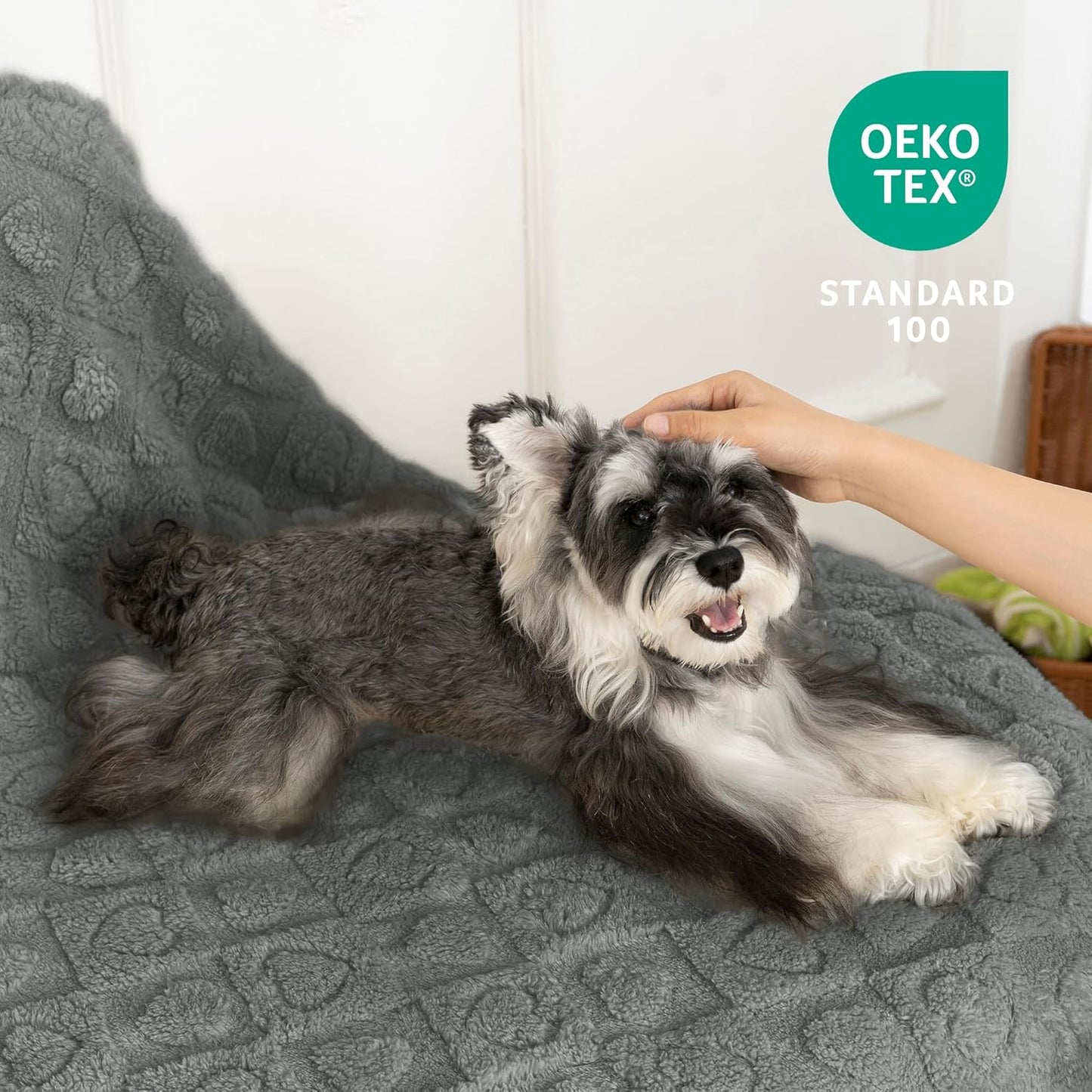 gogobunny Calming Plush Dog Cat Blanket 300GSM Coral Fleece, Ultra-Soft Machine Washable Pet Bedding for Small Medium Dogs Cats Puppies Kittens (Anthracite, 60x80)