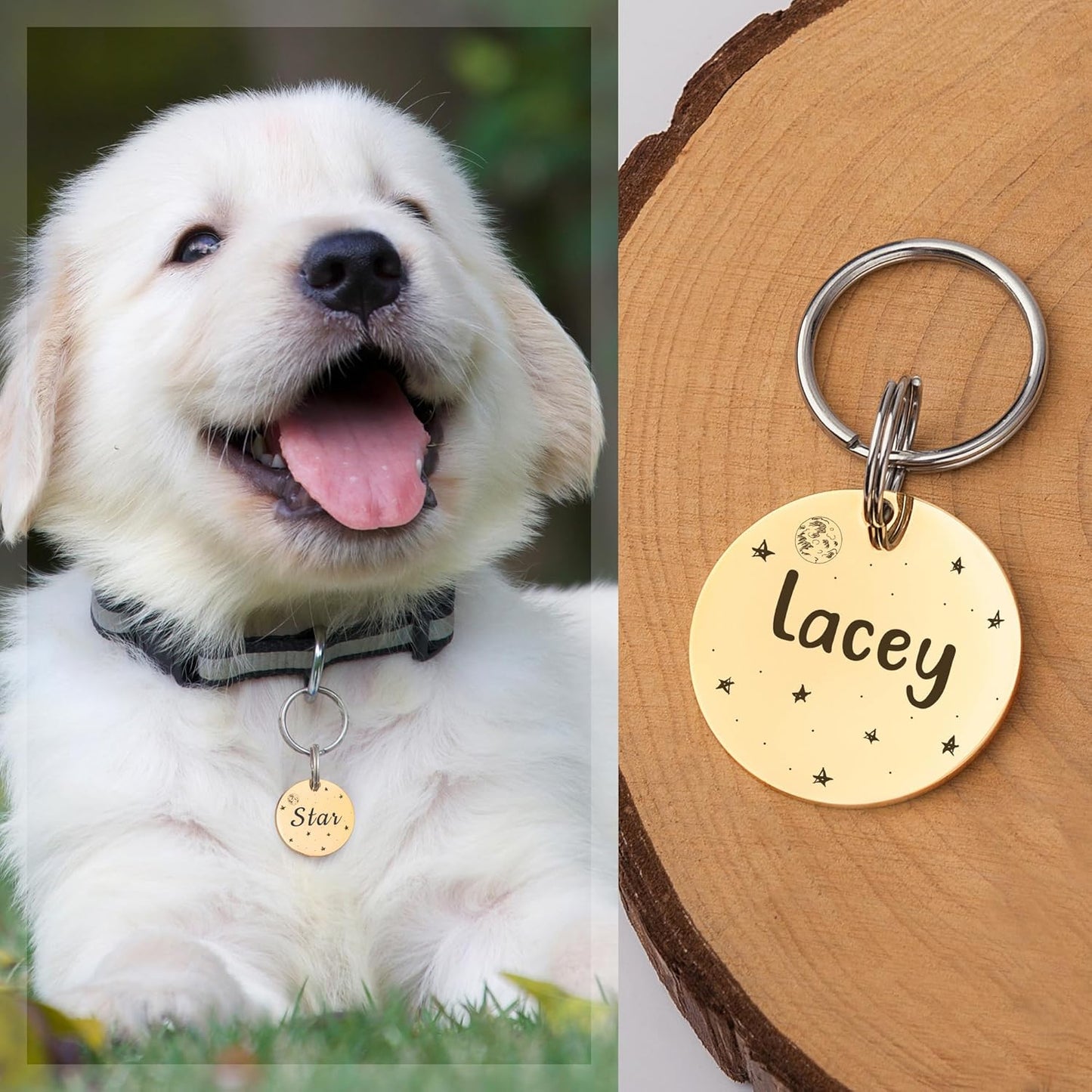 Anavia Small Size Dog Cat ID Tags, Small/XS Personalized Color Plated Stainless Steel Puppy Kitten Name Tags, Customized Engraved Nameplate Pet Collar Tag (Silver, Round)