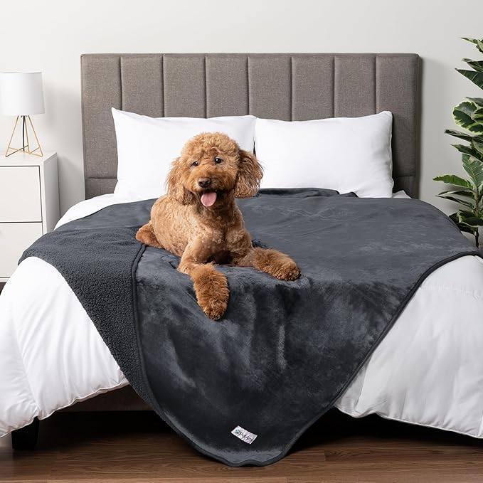 PetAmi Waterproof Dog Blanket - Pee Proof & Reversible for Medium Large Dogs, Pups & Cats. Soft Fleece, Washable, 40x60 Gray