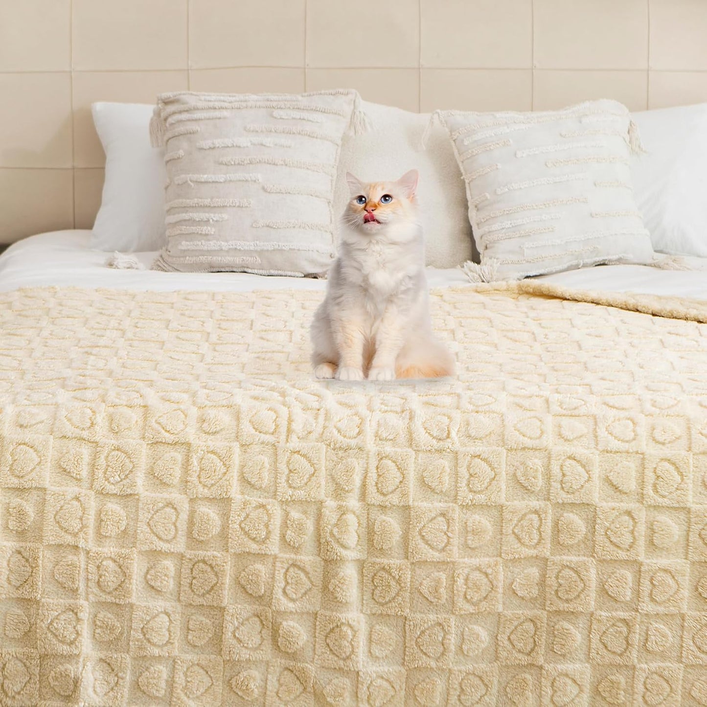 gogobunny Calming Plush Dog Cat Blanket 300GSM Coral Fleece, Ultra-Soft Machine Washable Pet Bedding for Small Medium Dogs Cats Puppies Kittens (Beige, 50x60)