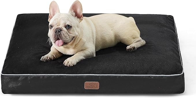 Bedsure Washable Dog Bed Medium Size Dog - 3 Inch Thicken Up to 45lbs Pet Mat Pillows with Removable Washable Cover, Black