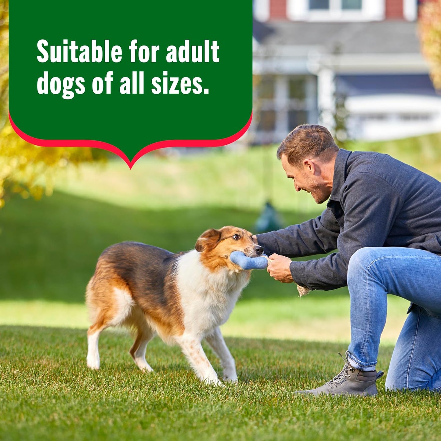 Nutrish Whole Health Blend Chunks in Gravy Variety Pack Wet Dog Food, 13 oz. Can, 12 Count (Rachael Ray)