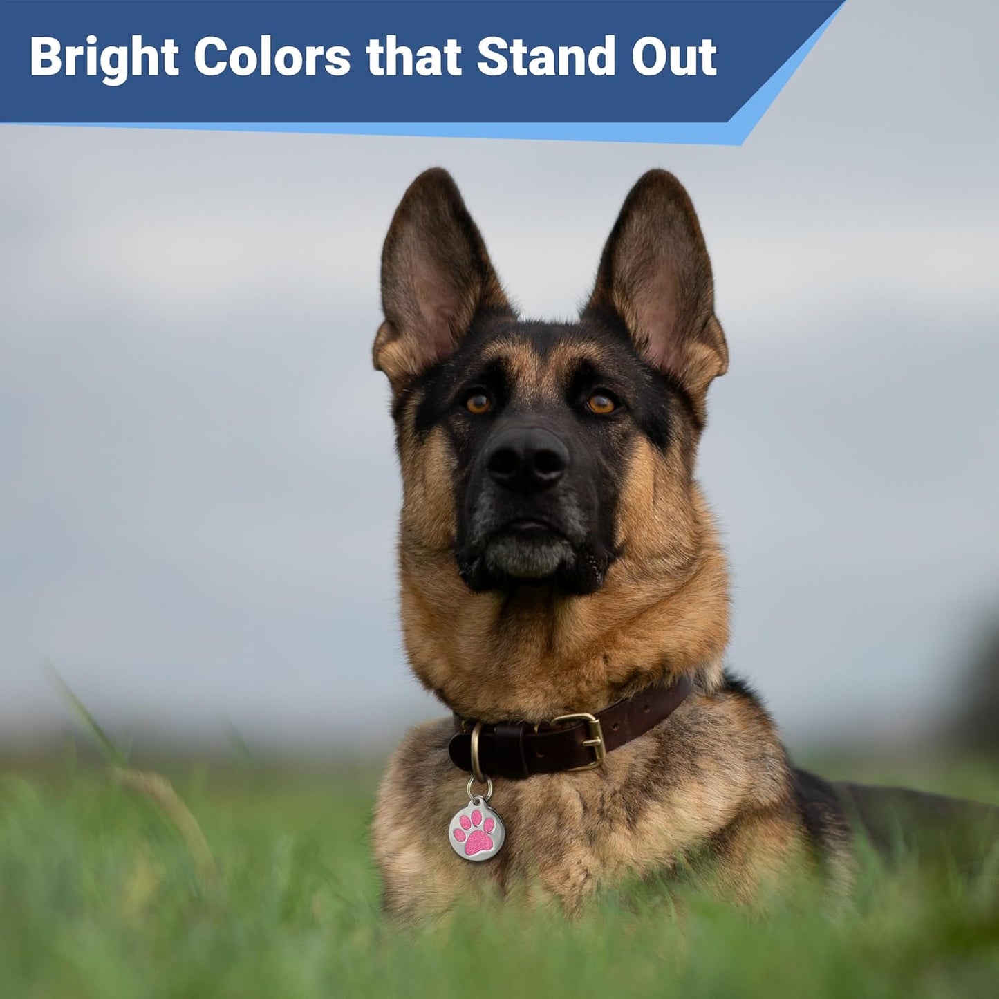 GoTags Paw Print Round Stainless Steel Pet Tag for Dogs and Cats, Personalized with 4 Lines of Custom Engraved ID Name and Number, in Stainless Steel and 15 Colors Small and Large, Glitter Green