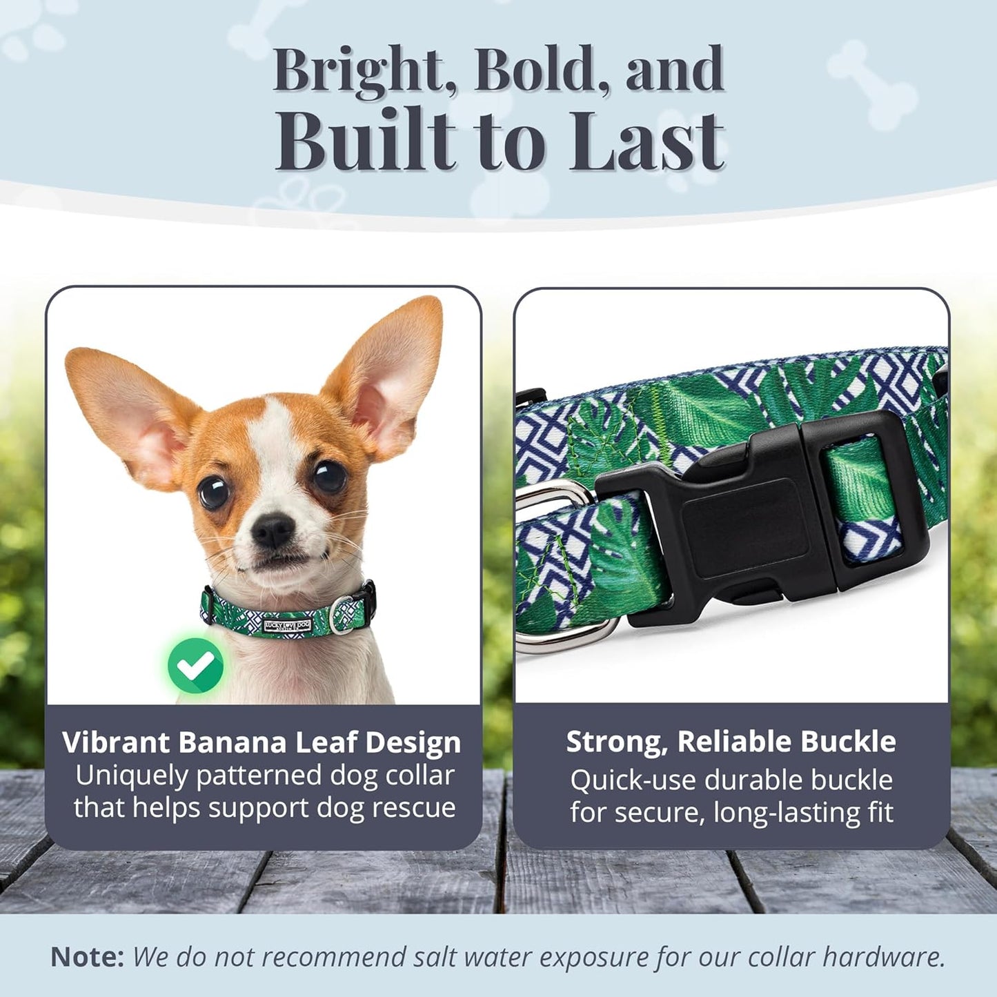 Lucky Love Dog Collar and Leash Set, Beautiful & Vivid Patterns, Easy On & Off Clasp Accessory (Blue Laguna, XS Combo)