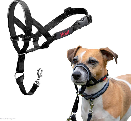 HALTI Headcollar - To Stop Your Dog Pulling on the Leash. Adjustable, Reflective and Lightweight, with Padded Nose Band. Dog Training Anti-Pull Collar for Small Dogs (Size 1, Black)
