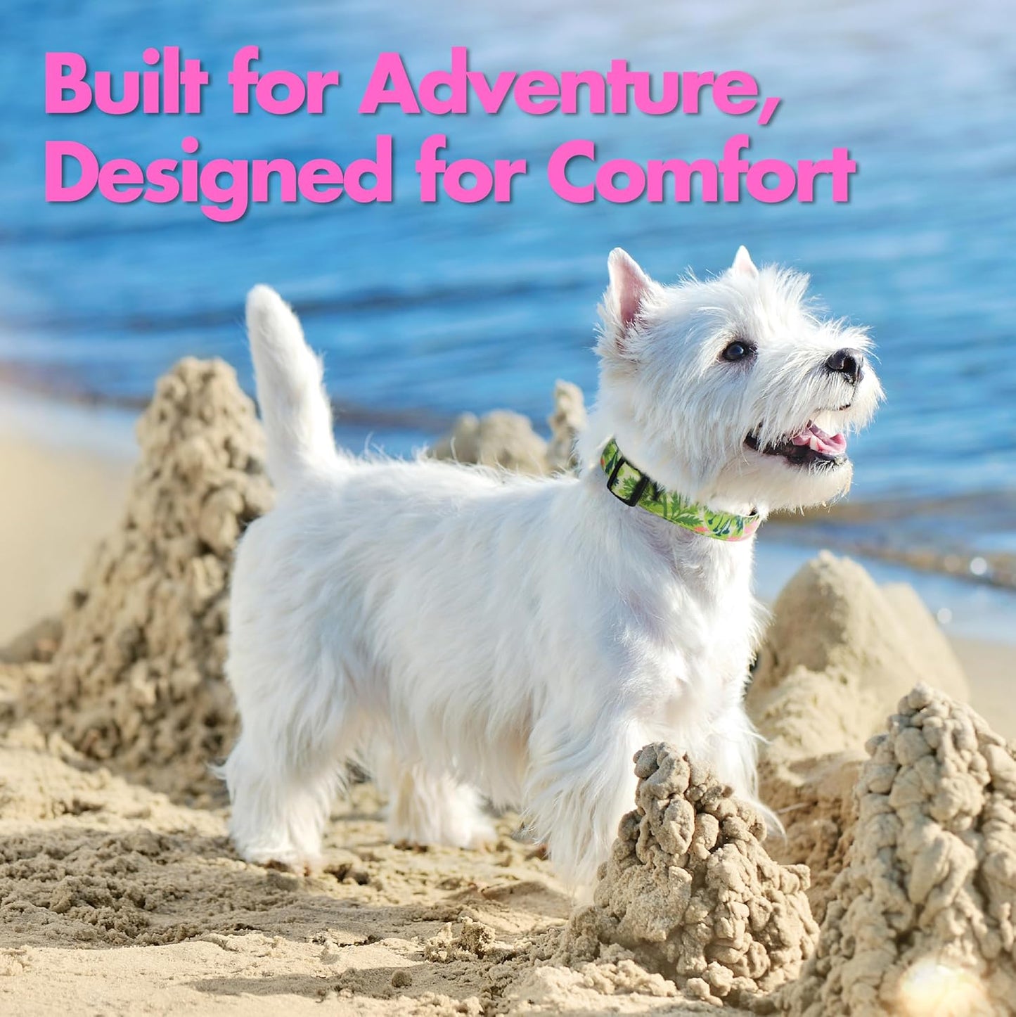 Medium Dog Collar with Reflective Logo and Soft Padded Neoprene,Summer Tropical Leaf Design, Adjustable,Lightweight & Durable, Neck Size 12’’-20’’ (Leaf, M)