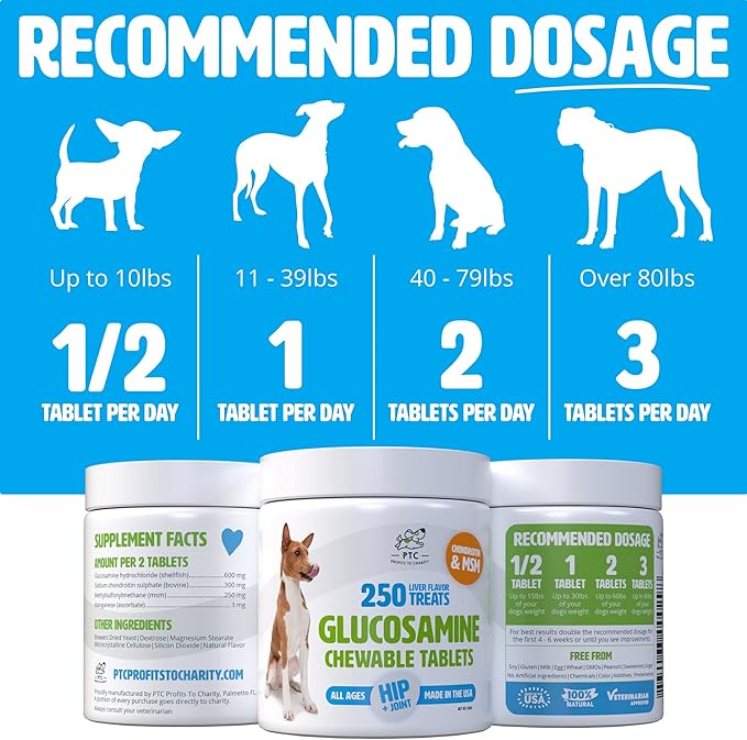 Glucosamine for Dogs with Chondroitin and MSM -Hip and Joint Supplement for Dog Mobility Support and Arthritis Pain Relief - 250 Chewable Tablet Treats