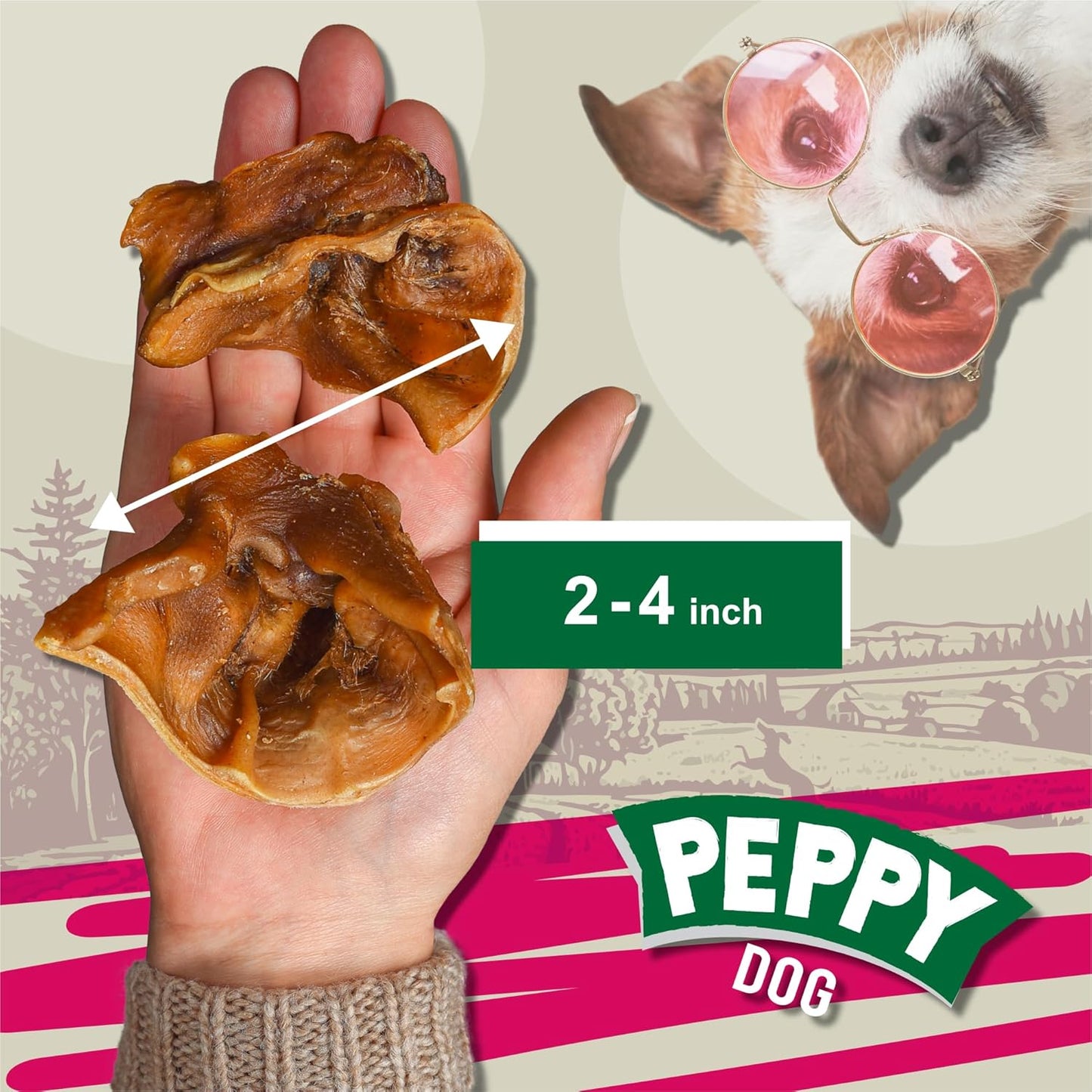 All Natural Pig Ear Slices Dog Treats (70oz) | Protein-Packed | No Preservatives | Promotes Dental Health | Hypoallergenic | Reduces Plaque and Tartar | Perfect Chewiness (70 oz (Pack of 1))