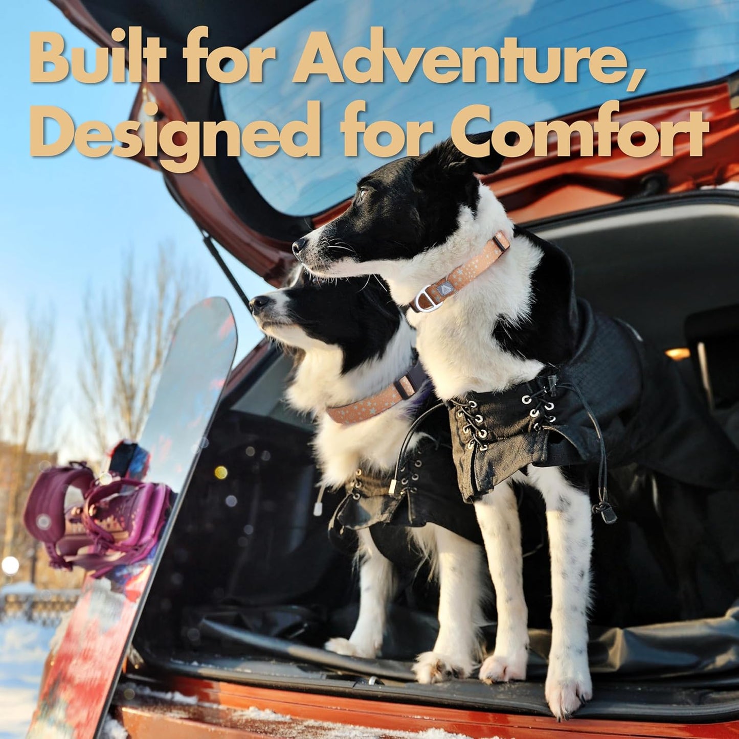 Fall Dog Collar, Cute Star Pattern Brown Collars for Girl & Boy,Reflective,Soft Padded Neoprene,Fully Adjustable,Durable & Lightweight Medium Dog Collar, (Star, M)