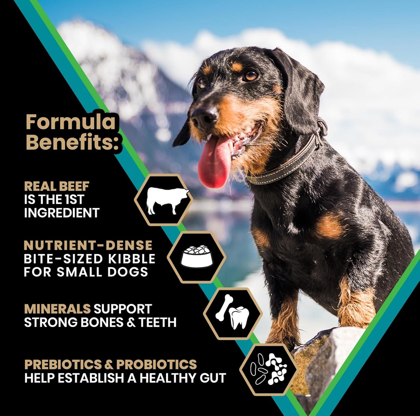 VICTOR Classic - Hi-Pro Small Breed Adult, 15-lb