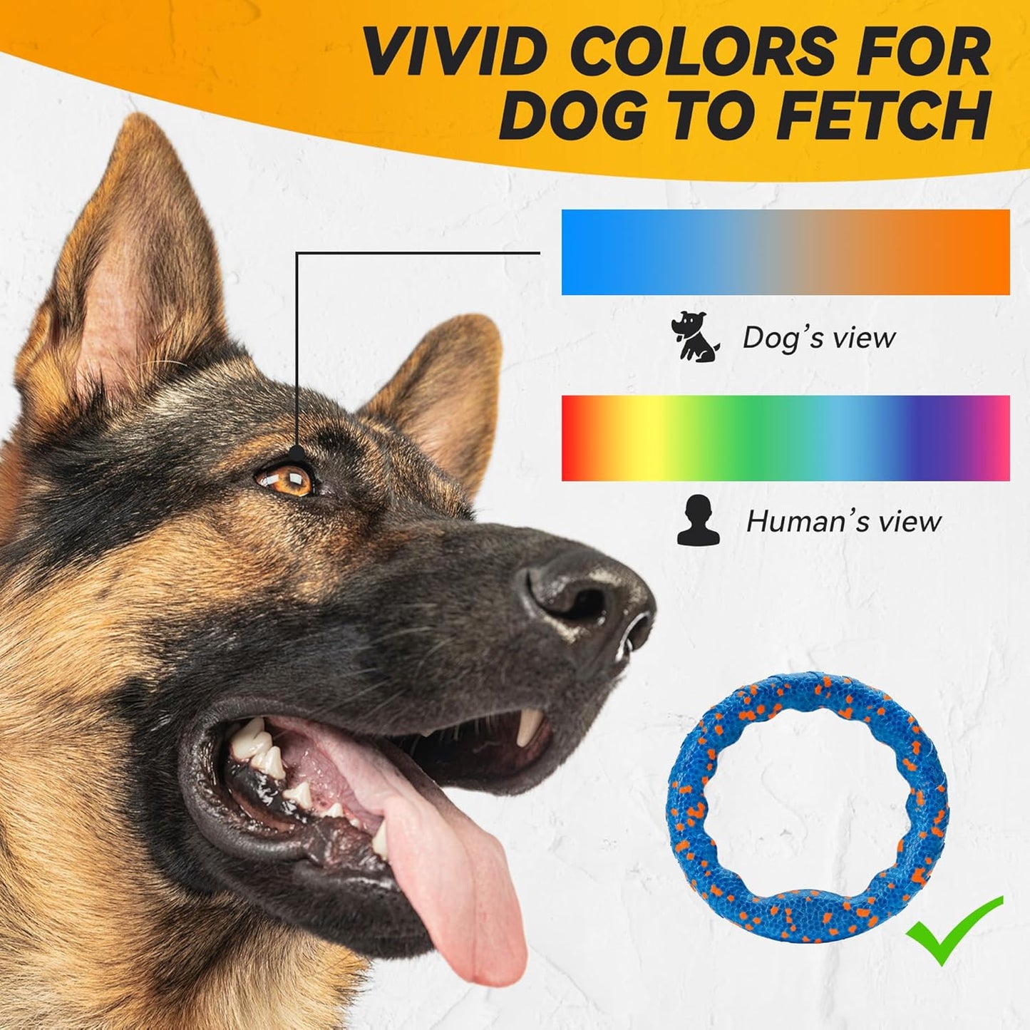 Dog Ring Toy, Indestructible Flying Discs for Throwing Catching, Water Floating Dog Training Ring for Medium Large Breeds (Blue - φ9 inches)