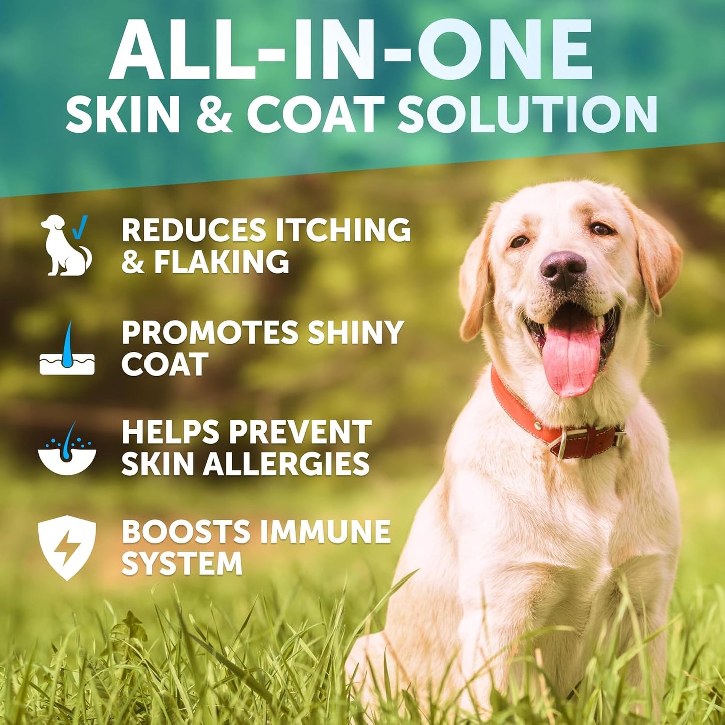 Omega 3 Fish Oil for Dogs - Dog Allergy Chews - Itch Relief & Skin and Coat Supplement with Salmon Oil - Hot Spots Treatment - Allergy & Anti Shedding Support - EPA & DHA Fatty Acids - 120 Treats