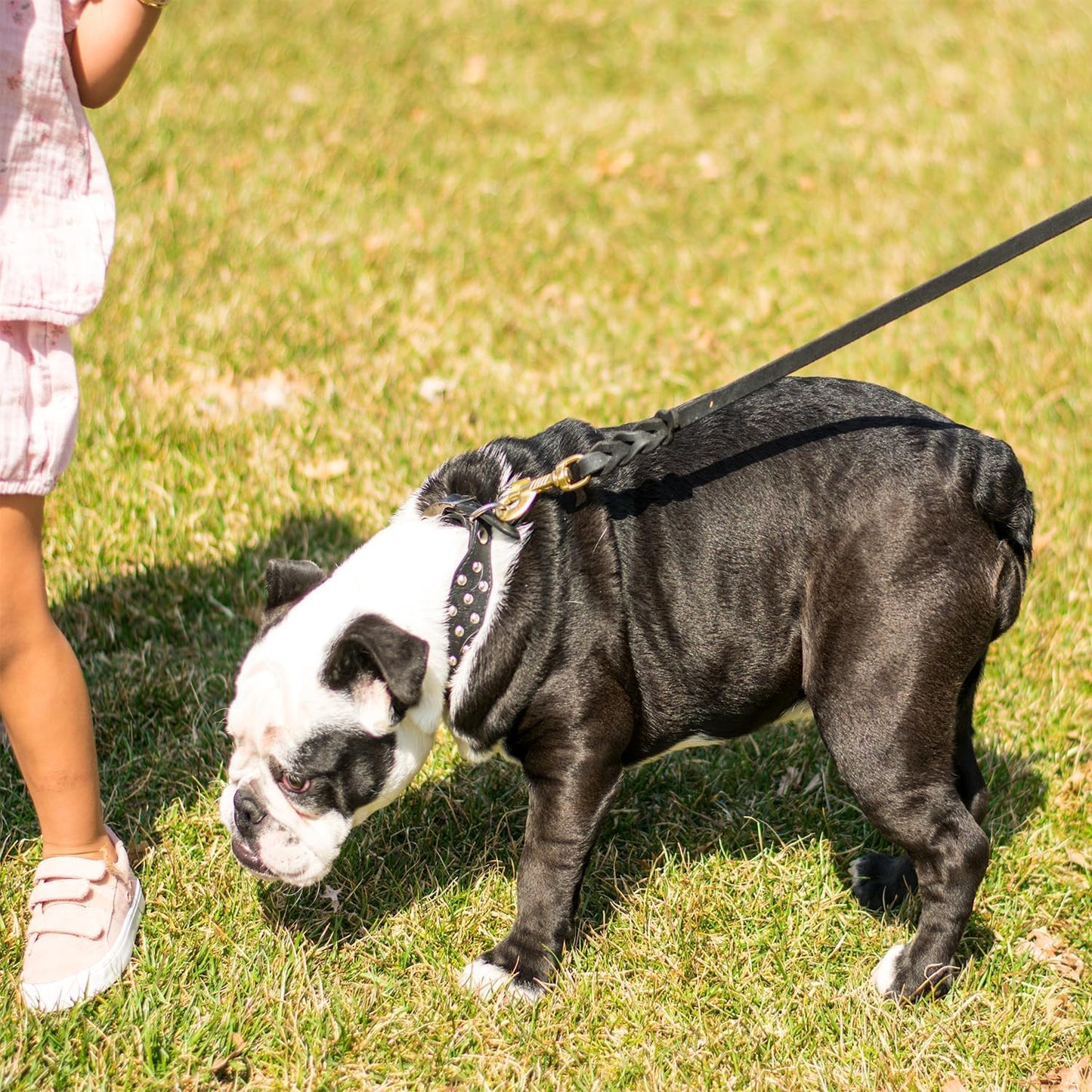 LWBMG Leather Dog Leash 4ft x 1/2 inch, Leather Dog Leash for Small Dogs, Strong Sturdy Genuine Leather Braided Dog Leash, Soft and Comfortable Leather Training Leash for Small Medium Dogs Black