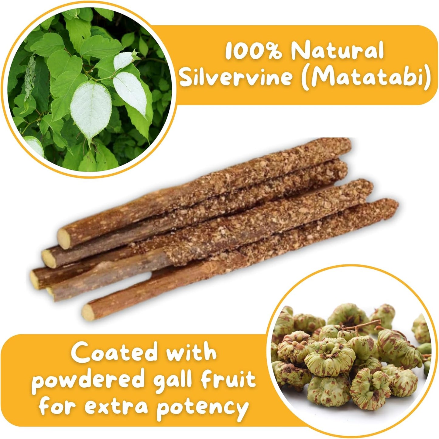 Hide & Scratch Premium Silvervine Sticks for Cats with Gall Fruit Powder for Extra Potency; Cat Enrichment Cat Chew Toy and Dental Sticks - More Effective Than Catnip Toys! (3 Packs of 12)