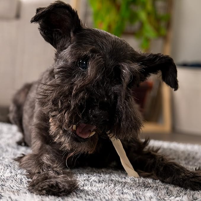 Pet Factory American Beefhide 5" Twist Sticks Dog Chew Treats - Natural Flavor, 1 lb